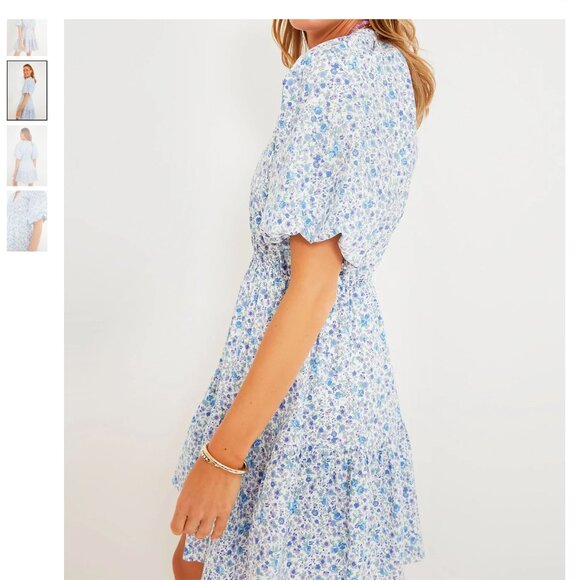 Hyacinth House Blue Ditsy Floral Loren Mini Dress - Picture 3 of 7